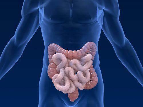 每天喝蜂蜜 到底能不能緩解便秘？