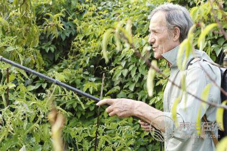 老人養生睡眠方法的禁忌是什么?