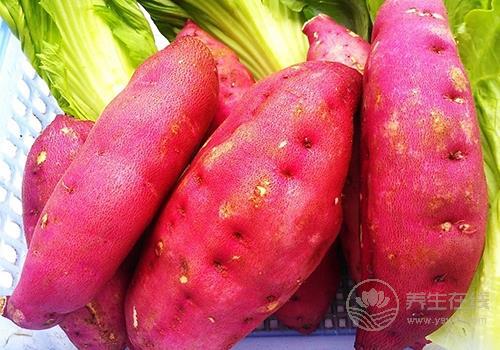 常食薯護腸養胃  推薦紫薯糯米餅