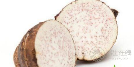 芋頭是不是發(fā)物芋頭搭配什么最營養(yǎng)