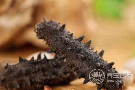 脾胃虛寒吃海參好嗎