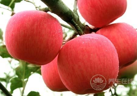 全世界人都愛它  一天吃幾個蘋果最好