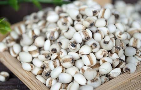 吃什么養生  薏米與這物搭配食用養生效果更佳