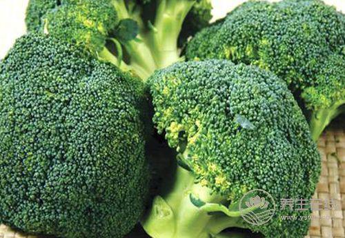 肝好的人,睡覺會有這些表現!養肝,這些食物要記住 肝好的人,睡覺會有這些表現!養肝,這些食物要記住