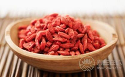 枸杞子泡水喝的功效與禁忌  亂喝它竟會上火流鼻血