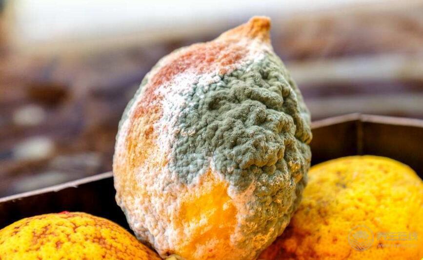 肝病跟吃關(guān)系大？想肝臟健康，少吃4類食物