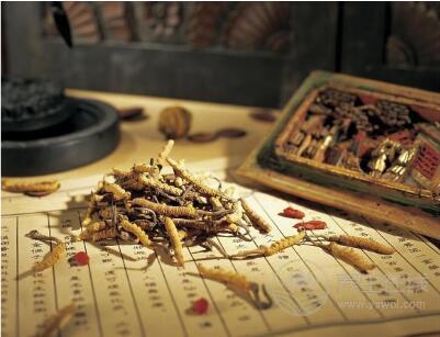 補腎壯陽藥酒配方大全