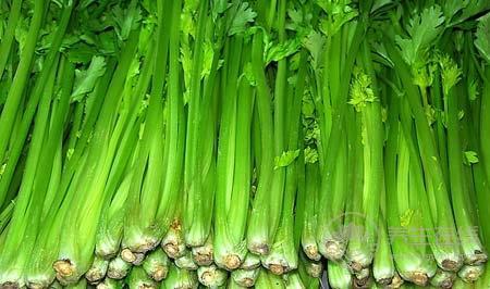 年輕人三高吃什么好  八種食物讓年輕人遠離三高