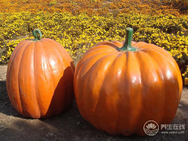 女人常吃6種食物，補血養氣，人年輕