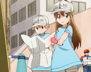 血小板減少怎么辦?這九個食療方法有效幫助血小板提升 血小板減少怎么辦?這九個食療方法有效幫助血小板提升