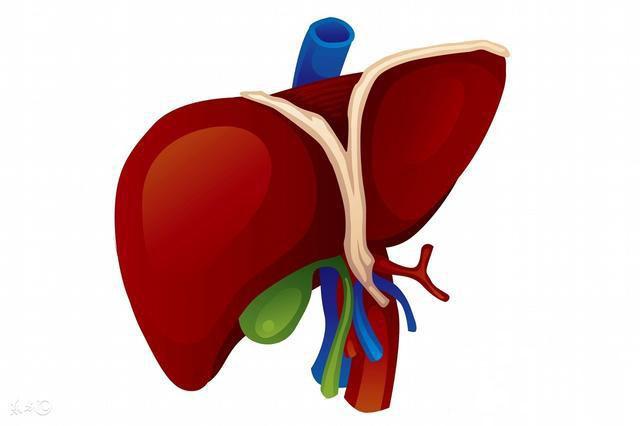 體檢查出脂肪肝，這么吃，讓你下次體檢沒有脂肪肝