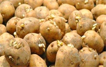 吃發芽的土豆會中毒  這10種食物含有毒素
