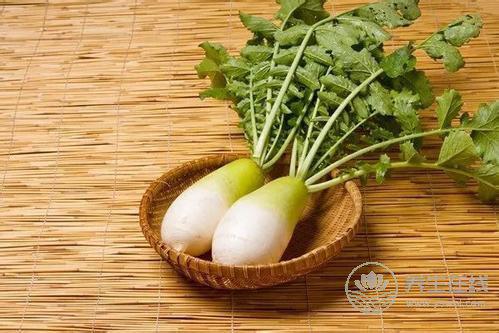 蘿卜瘦身餐 讓你在美味中享瘦 蘿卜瘦身餐 讓你在美味中享瘦