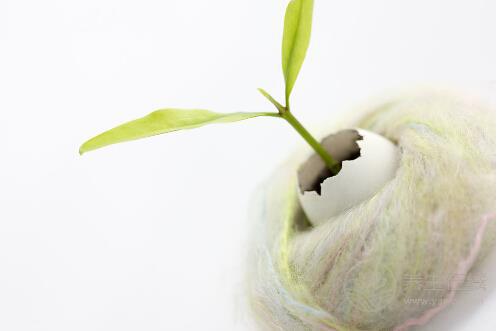 健康的生活習慣該做的事