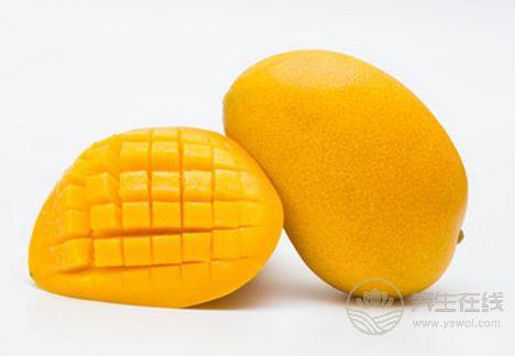 學生臺風天里跑出來“拯救”芒果 臺風也抵擋不了芒果美味的誘惑