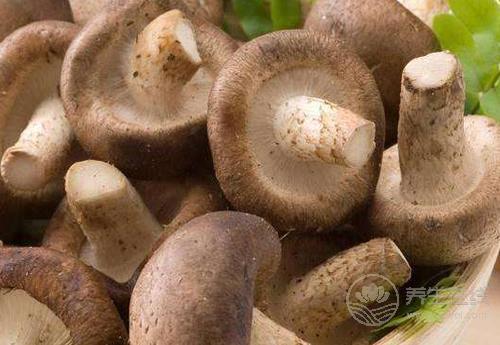 香菇好吃營養，這些吃法不能錯過