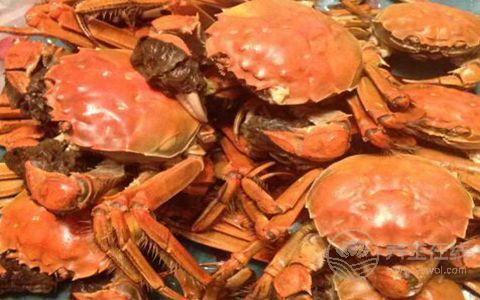 吃螃蟹不能吃這些食物 蟹與梨同食致腹瀉 吃螃蟹不能吃這些食物 蟹與梨同食致腹瀉