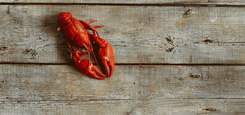 作為一只正經的小龍蝦，這些謠言“黑鍋”我不背！