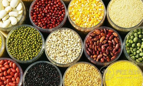 自制2款谷物飲 防失智，巧吃粗糧好處多