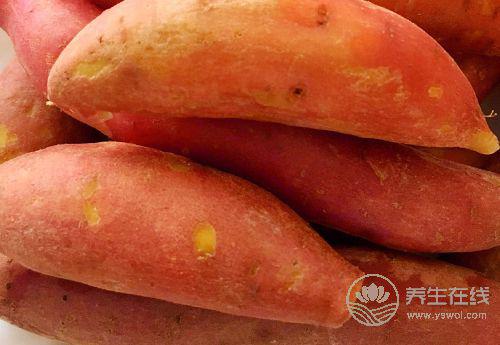 紅薯好吃不貴，對身體還有3大好處