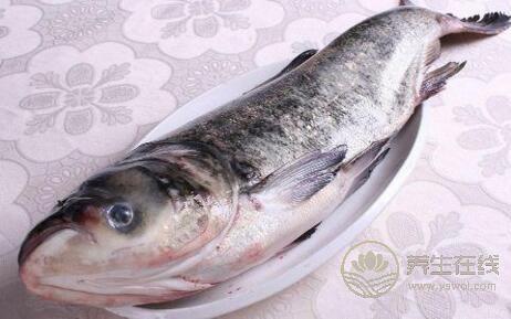 女性吃魚真能減肥嗎？哪些魚類可以減肥？