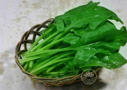 當(dāng)心！！這7種蔬菜沒(méi)煮熟似砒霜