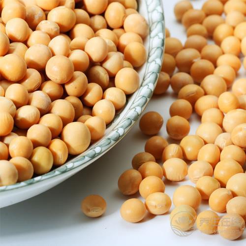 豆類好處多，每天吃一點，可抵抗疾病