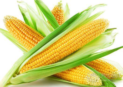 患高血脂人群越來越多,多吃這6種食物可以有效預防 患高血脂人群越來越多,多吃這6種食物可以有效預防