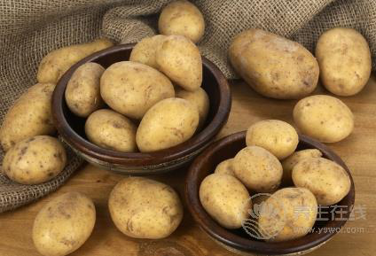 孩子碰不得這12種食物 會影響一生的健康 孩子碰不得這12種食物 會影響一生的健康