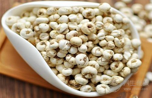 自制川貝雪梨治咳嗽  川貝并非人人適合吃！