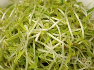 夏季減肥吃什么最有效 推薦15種高效燃脂食物