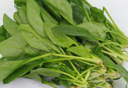 胃部健康的人常有這些習慣!常吃3種果蔬,胃更好 胃部健康的人常有這些習慣!常吃3種果蔬,胃更好