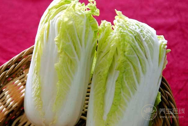 大白菜絕不能這樣吃 凍白菜勿用熱水泡洗