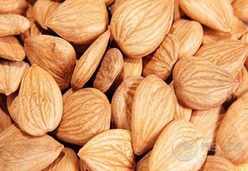 杏仁作用大，對身體有這些好處，你知道嗎？