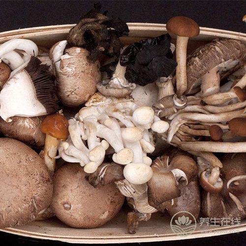 美白的蔬菜有哪些, 4種蔬菜常吃可讓你擁有美白肌膚