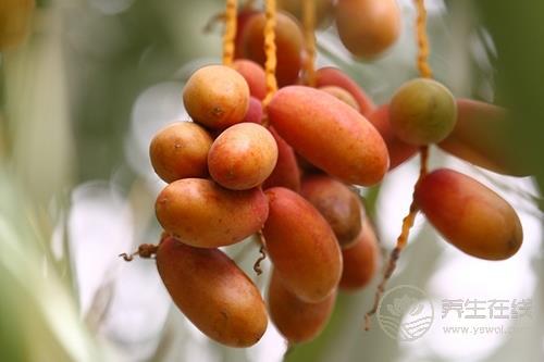 震驚！這物居然抗癌又治性功能低下 椰棗這樣吃更健康