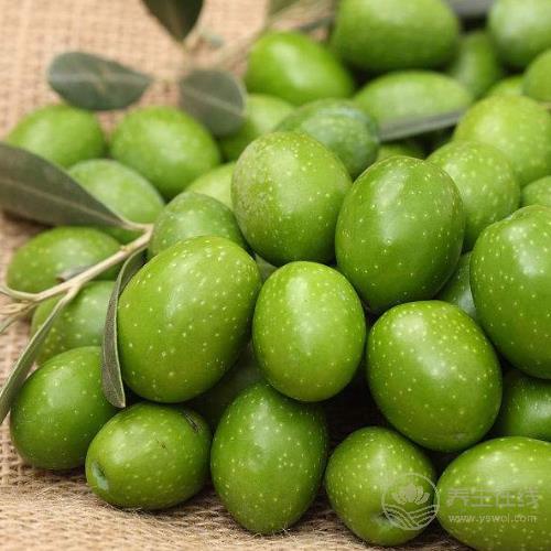 好皮膚，吃出來，4種食物能有效延緩衰老