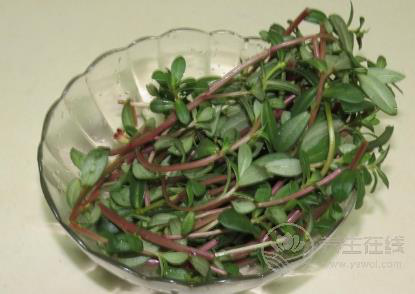 當(dāng)心！！這7種蔬菜沒(méi)煮熟似砒霜