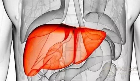 做夢(mèng)睡不好是因?yàn)椤把摗保棠闳绾勿B(yǎng)血，從根本解決身體病灶