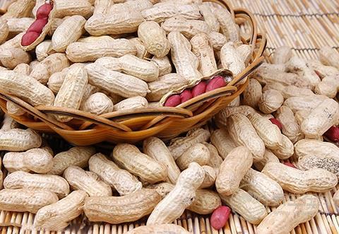花生不是誰都能吃 這4種人別隨便吃花生！