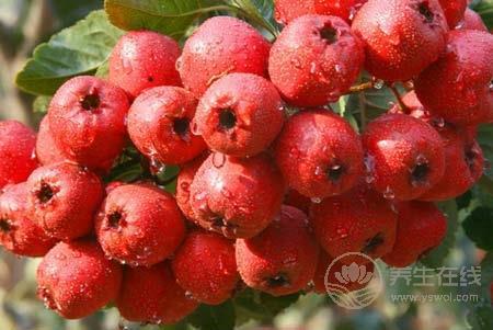 拒絕黃臉婆 脾胃不好的女人不要吃這五種食物