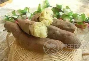 到底吃紅薯紫薯白薯哪種更營養？常吃它降壓不發胖！