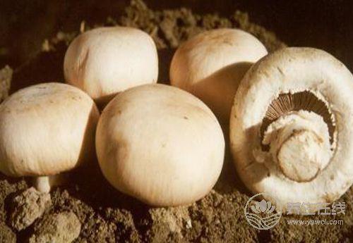 肝好的人,睡覺會有這些表現!養肝,這些食物要記住 肝好的人,睡覺會有這些表現!養肝,這些食物要記住