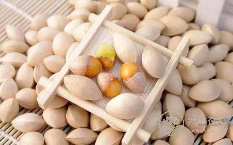 3款白果藥膳固腎氣 止遺尿