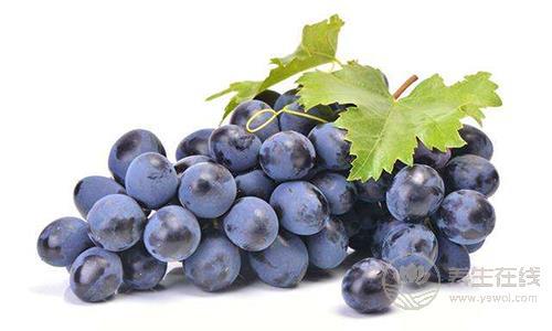 吃葡萄后喝水會(huì)引起腹瀉 吃葡萄注意七個(gè)事項(xiàng)