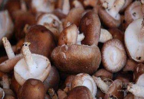 香菇好吃營養，這些吃法不能錯過