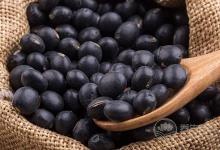 如何選購優(yōu)質(zhì)黑豆？黑豆有助防止大腦老化