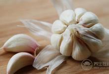 大蒜的養(yǎng)生功效 古代大蒜養(yǎng)生故事