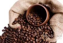 十種食物易引發過敏 芹菜會引起口腔過敏綜合癥