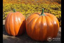 女人常吃6種食物，補血養氣，人年輕